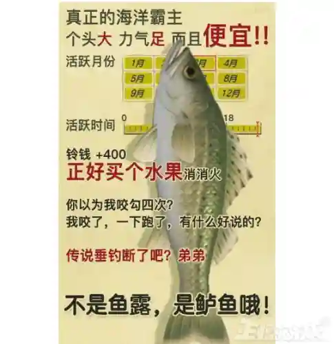 动物之战鲲鲲阵容搭配(山海经怎么搭配阵容)插图1