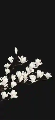 桌面壁纸图片可爱(壁纸软件下载)插图37