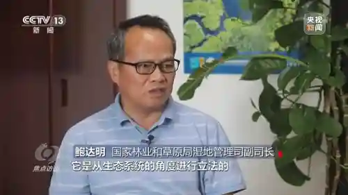 体球网手机比分(体球网足球官网)插图2