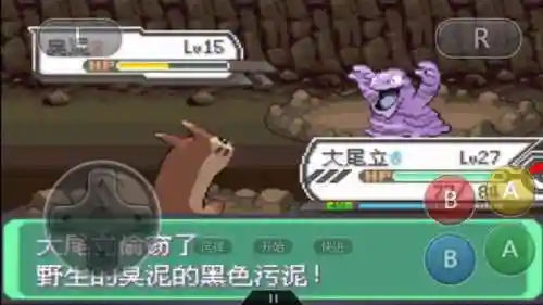 神奇宝贝之最强养成系统(精灵宝可梦系统类小说)插图3