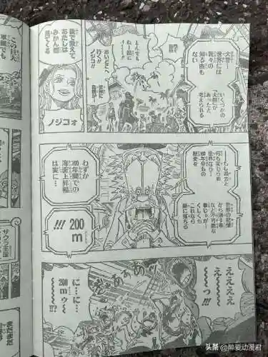 海贼王最新一集樱花动漫(樱花动漫最新动漫免费观看)插图12