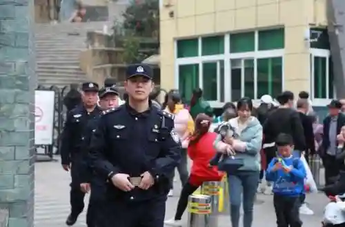 小马跑酷推荐阵容搭配(小马宝莉彩虹跑酷)插图2