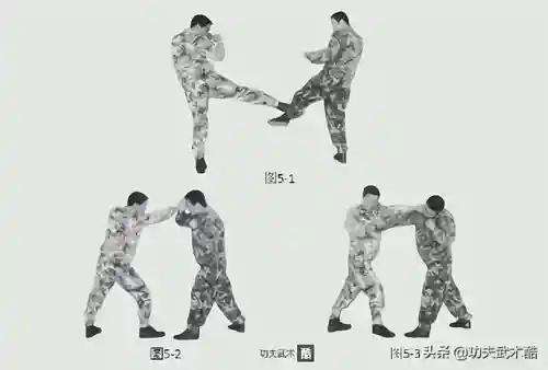 格斗擒拿组合阵容搭配最新(擒拿格斗教学视频20招)插图4
