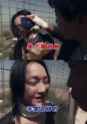 隐晦之海强势阵容搭配(闪烁之光最强阵容)插图53