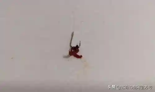 战双深红蚯蚓阵容搭配(战双帕弥什t0阵容)插图6