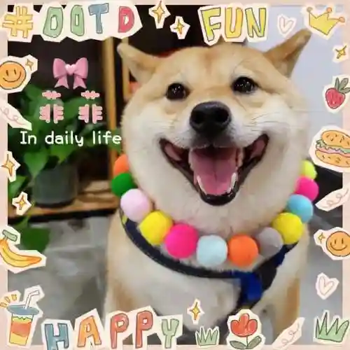 柴犬大部队阵容搭配(部落冲突阵容推荐)插图5
