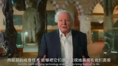 史前星球阵容搭配图表最新(走开外星人最强阵容)插图7
