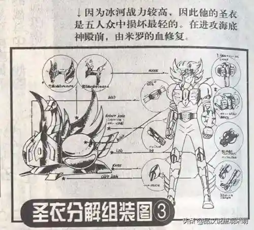 洛克王国华贵天鹅超进化(洛克王国巨翎天鹅亲密度)插图10