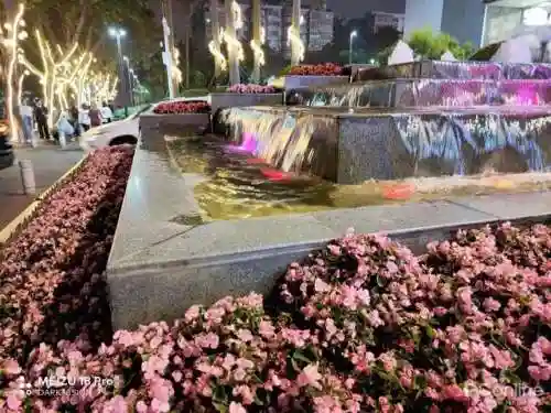 豪华专业的阵容搭配图(不朽家族推图阵容搭配)插图22