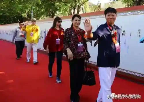 太极演员阵容搭配图片(云太极新款太极表演服装)插图68