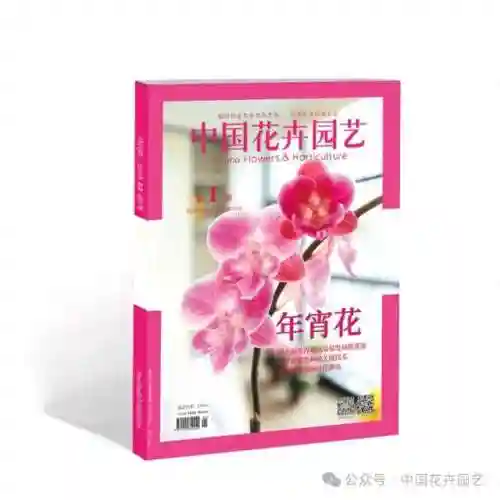 花鸟卷御魂搭配2023(绘世花鸟卷pve御魂配置)