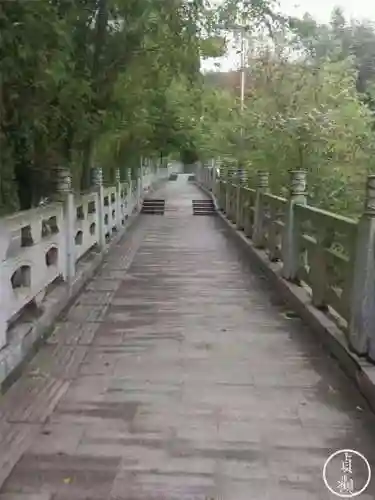 逍遥在贞观(贞观祸害)插图4 逍遥在贞观(贞观祸害)插图4