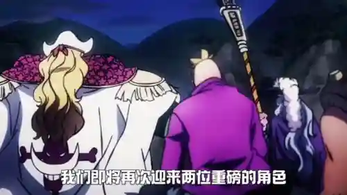 青年白胡子人物阵容搭配(航海王燃烧意志白胡子阵容)