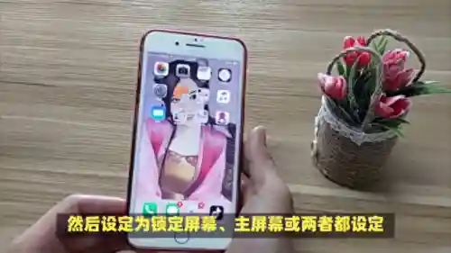 苹果手机主题怎么设置(苹果的主题商店在哪)