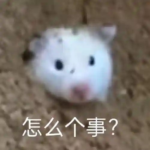 地图高德地图(地图上如何添加自己公司的地址)插图7