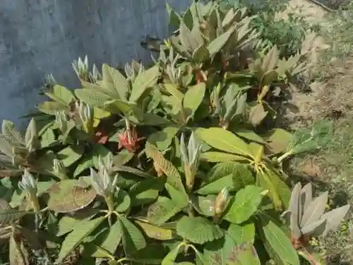我有一个热血传奇世界(热血传奇客户端下载器)插图1