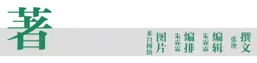 工作餐阵容搭配图表(聚餐座位图怎么排)插图10