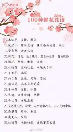 所有花语大全(花语经典语录)插图1