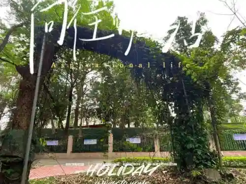 天选森林大树阵容搭配(大树头森林餐厅)插图9