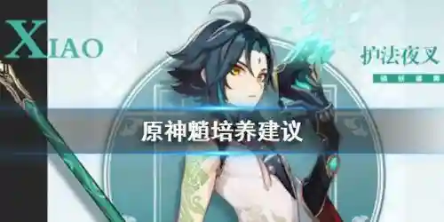 魈伤害最高的阵容搭配(魈最强圣遗物搭配)
