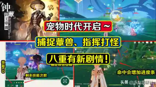 原神驯兽怎么搭配阵容(原神打草龙带什么角色)