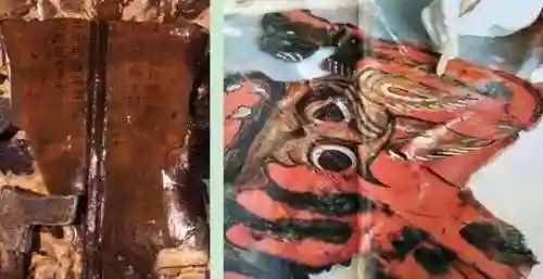 弹射世界海盗兵法搭配阵容(弹射世界平民队伍推荐)插图17