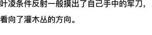 我和七个女神在荒岛求生(和女神们流落荒岛我为王免费阅读)插图87