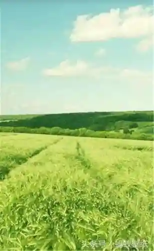 超好看的手机壁纸图片(手机壁纸图片女生专用)插图93 超好看的手机壁纸图片(手机壁纸图片女生专用)插图93