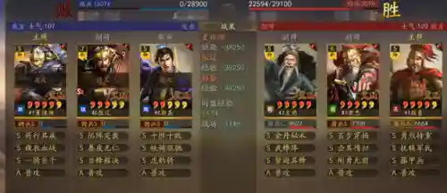 华佗最强搭配什么阵容打野(王者荣耀打野速度最快的英雄)插图10