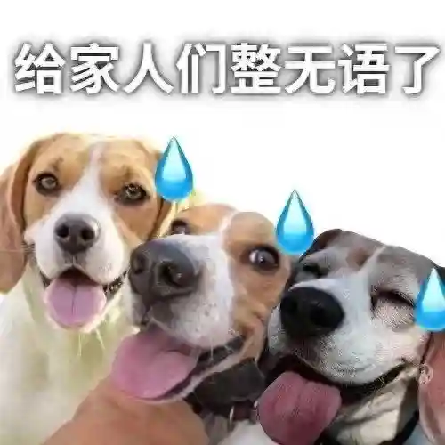 无语表情包阵容搭配图(强颜欢笑表情包)