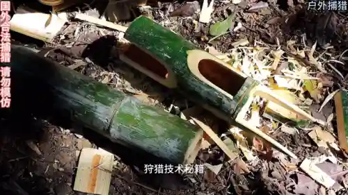 最强猎捕阵容搭配推荐平民(猎码计划平民最强阵容)插图1