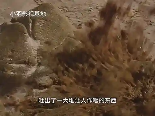决斗迪迦阵容怎么搭配(决斗链接海马卡组搭配)插图2