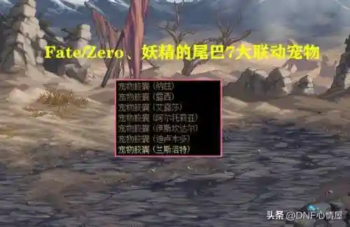 dnf拍卖行宠物怎么搜不到(dnf拍卖行最便宜的宠物)