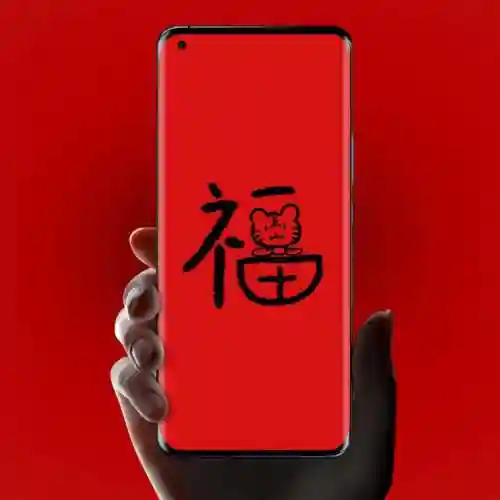 5种福字图片大全图片(不同的福字图片)插图10