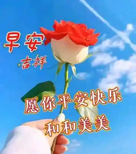 早安物语推荐阵容搭配图(心力物语最强阵容)插图5