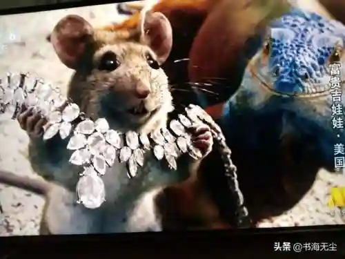 龙妈加狗子阵容搭配(云顶之弈奶妈主c阵容)插图13
