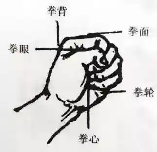 散打教学基本功(散打自学教程)