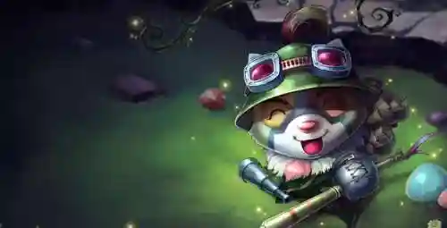 兔宝宝提莫为什么最贵(兔宝宝)插图7