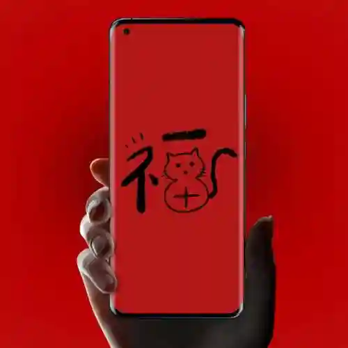 5种福字图片大全图片(不同的福字图片)插图16