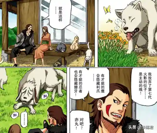 犬冢牙和谁结婚了(我爱罗和谁结婚了)插图4