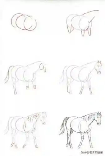 画100个呆萌可爱小动物(画小动物简单又可爱)插图19