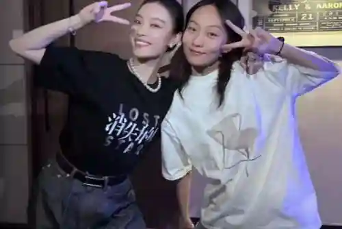 梦幻联动姐妹阵容搭配推荐(梦幻西游最强伙伴阵容)插图4