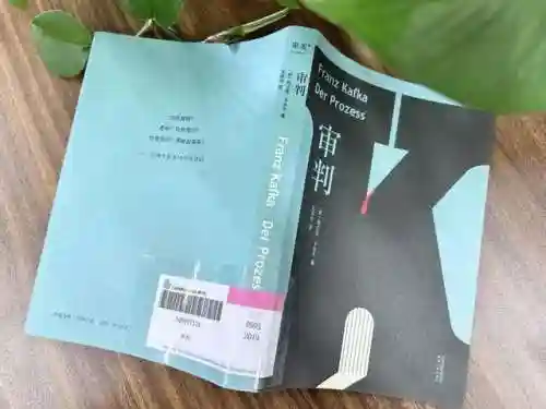卡夫卡阵容搭配新手(云顶之弈阵容搭配图表)插图2