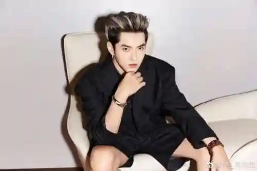 吴亦凡已经返回加拿大(吴亦凡出狱回加拿大怎么判)插图3