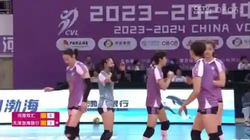 王者女排阵容搭配表图片(中国女排阵容海报)插图2 王者女排阵容搭配表图片(中国女排阵容海报)插图2