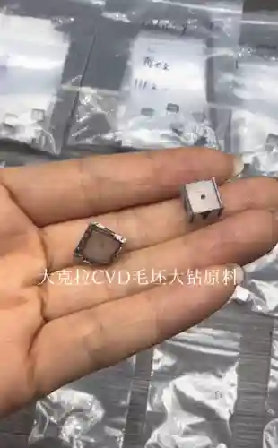 新手磷光阵容搭配图片高清(光明哨兵什么阵容)插图1