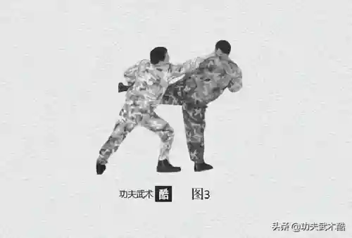 格斗擒拿组合阵容搭配最新(擒拿格斗教学视频20招)插图2