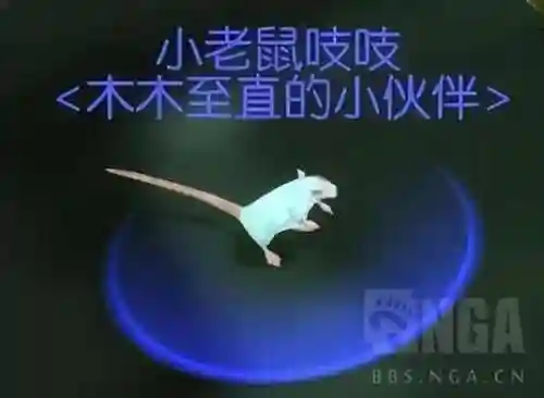 魔兽小宠物前期阵容搭配(魔兽世界宠物对战最强组合)插图1