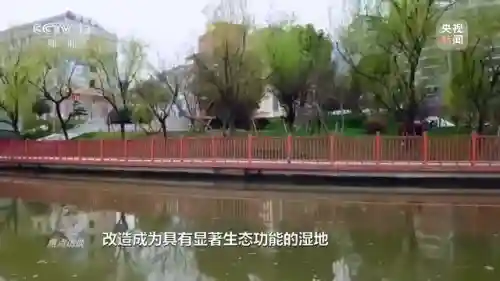 体球网手机比分(体球网足球官网)插图12