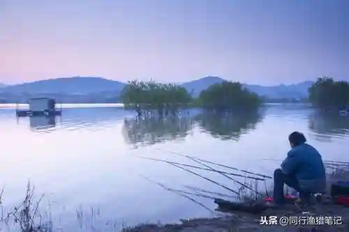 东南风适合钓鱼吗(风向钓鱼口诀)插图4
